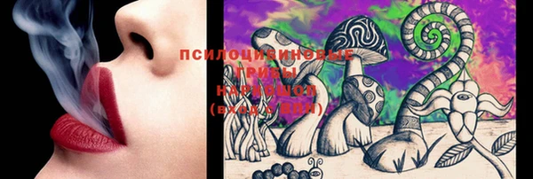 бошки Абинск