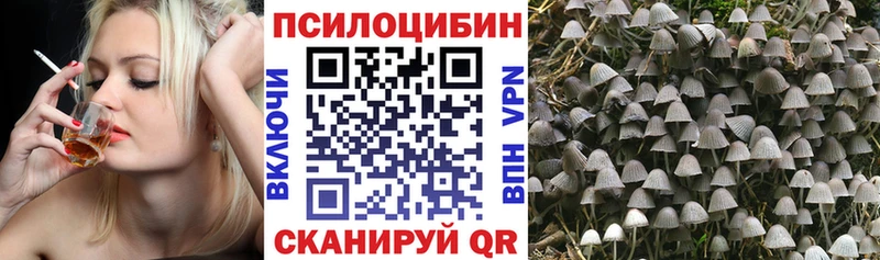 блэк спрут ONION  Полевской  Псилоцибиновые грибы MAGIC MUSHROOMS 