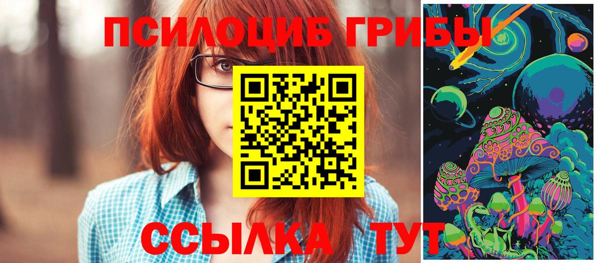Полевской  Псилоцибиновые грибы Psilocybine cubensis  Галлюциногенные грибы ЛСД  Вход с VPN 