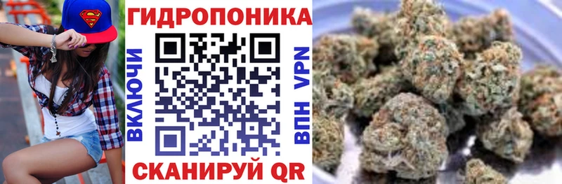 МЕГА tor  сколько стоит  Полевской  Канабис марихуана 